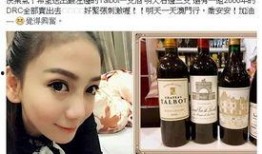 台湾女子爆料新闻视频大全,揭秘幕后真相与争议焦点