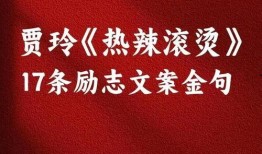 娱乐爆料文案励志,从娱乐爆料到励志传奇