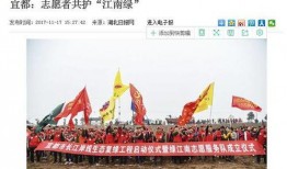 宜都最新爆料新闻,揭秘神秘事件背后的真相