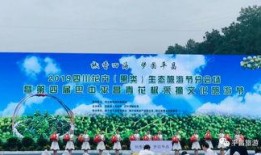 巴中平昌爆料最新消息,揭秘事件背后真相